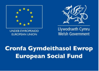 Welsh gov logo